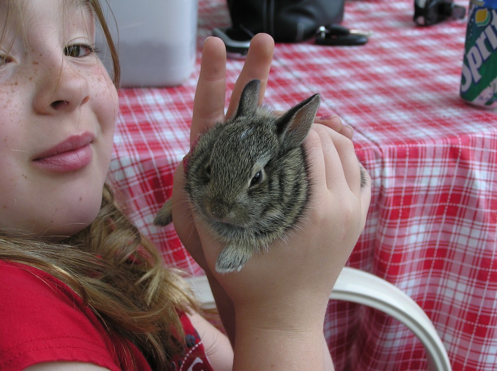 Bunny Born in a Patio Flower Pot