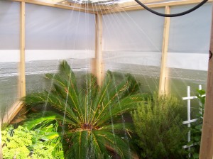 Do-It-Yourself-Greenhouse-Sprinkler System