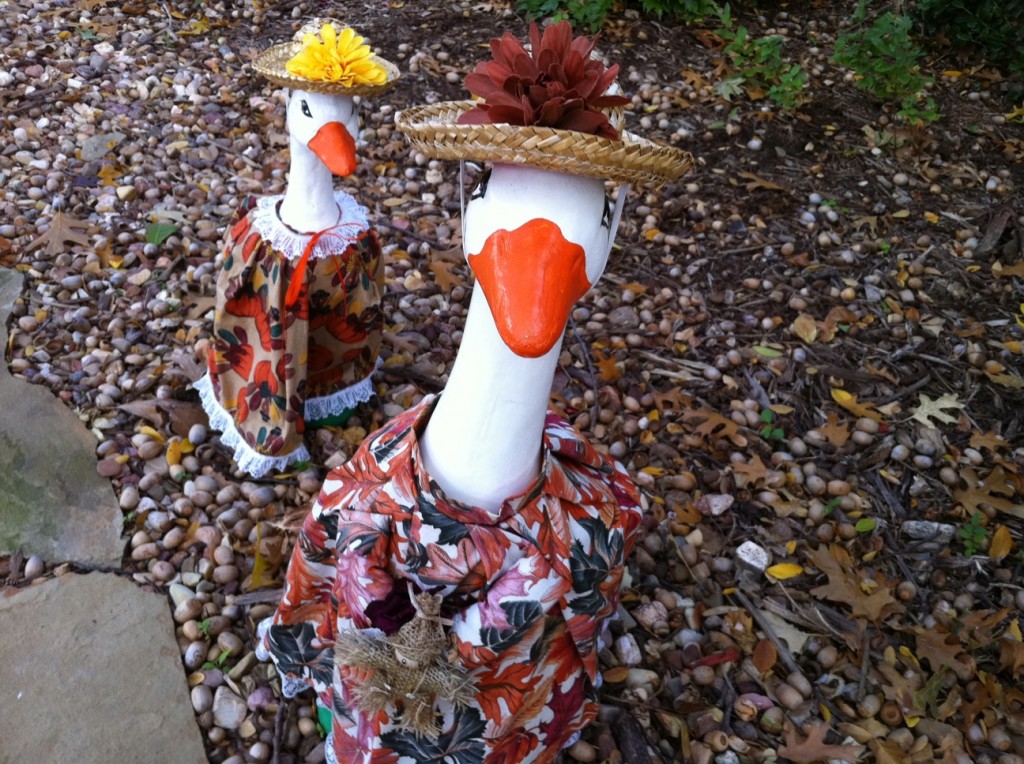 Geese Girls in Thanksgiving Regalia