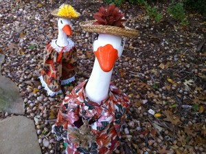 Geese Girls in Thanksgiving Regalia