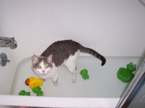 Izzy's Takes a Bath with Tubby Toys