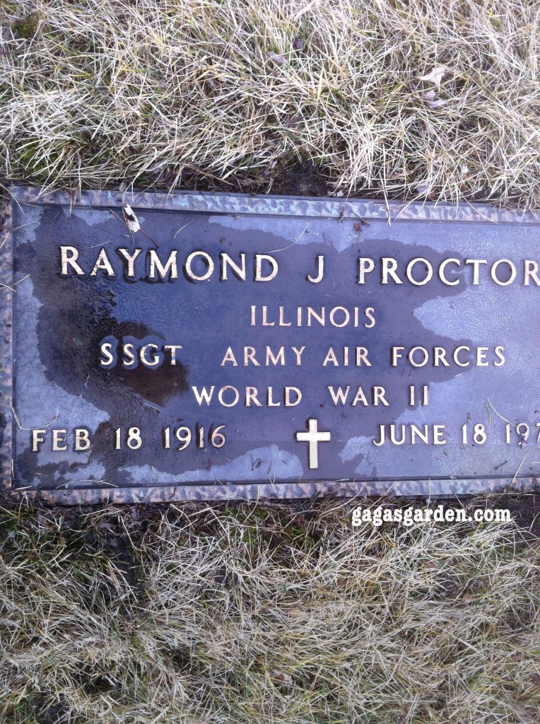 SSGT Raymond James Proctor Army Air Force, World War II