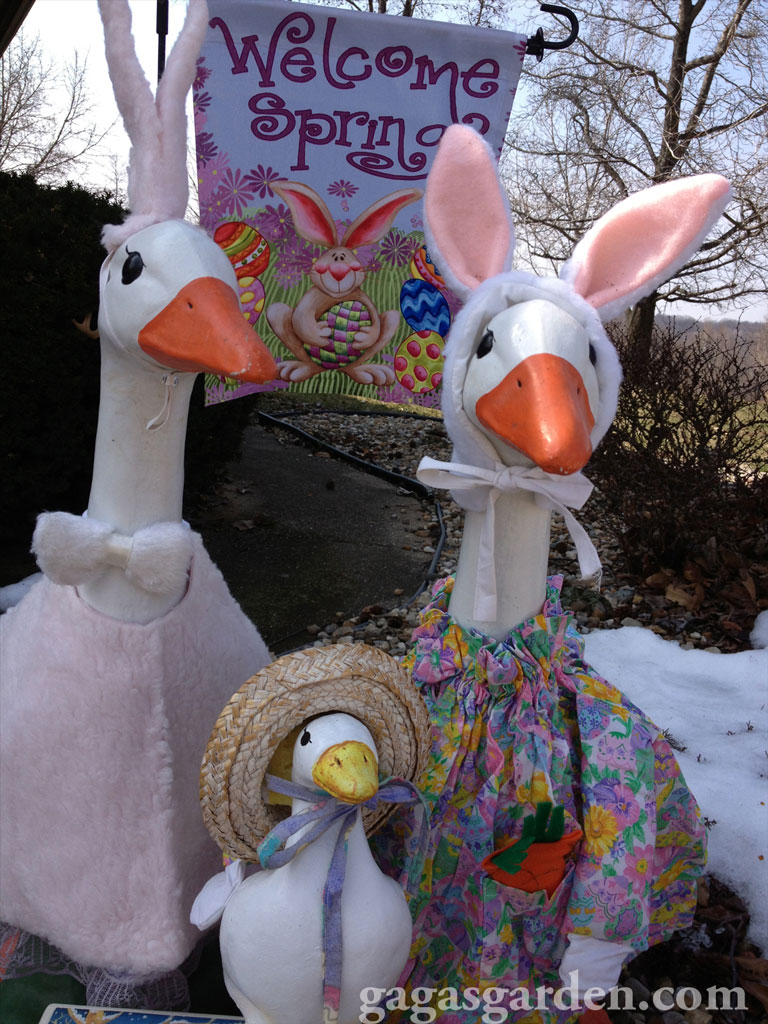 Happy Easter from Gaga's Garden Geese Family