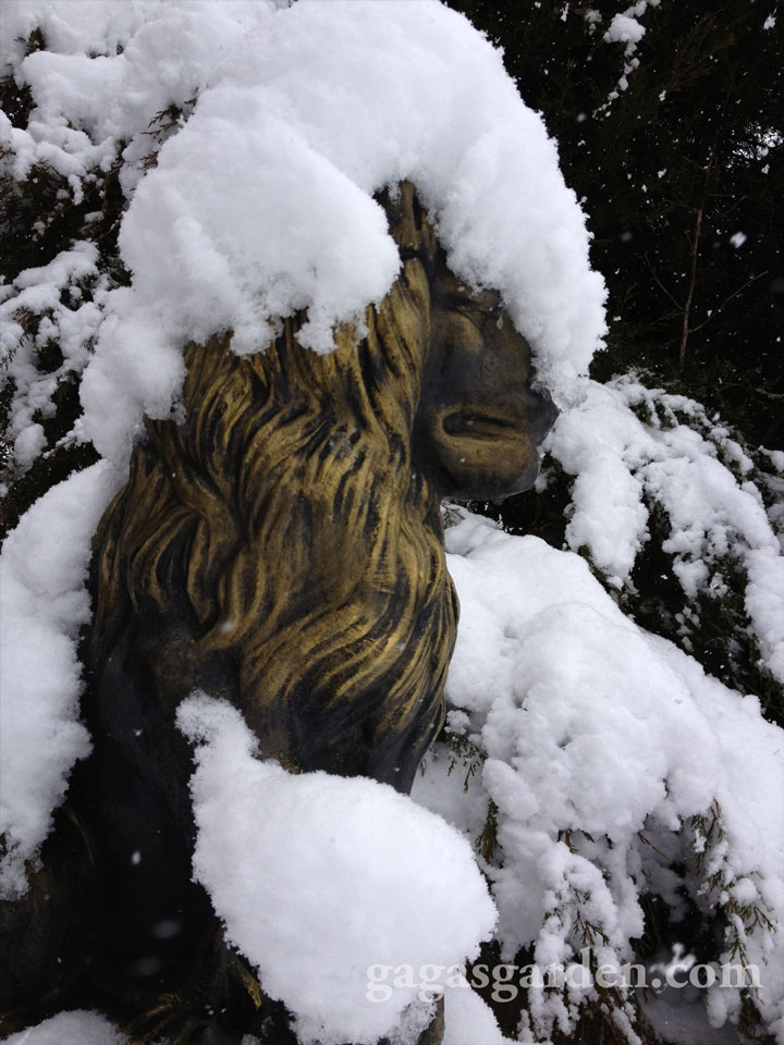 Garden Lion Snow Gauge