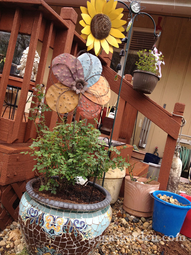 All A Twitter Re-Potted | Mini Hanging Basket