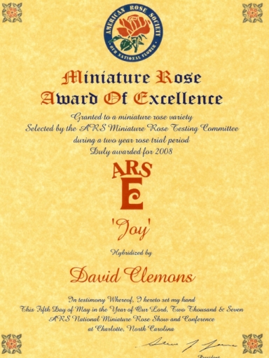 ARS Miniature Rose Award of Excellence for Joy hybridized by David Clemons