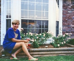 Bonica, Shrub | This is Bonica when I first planted it in my Texas rose garden outside the bay window.