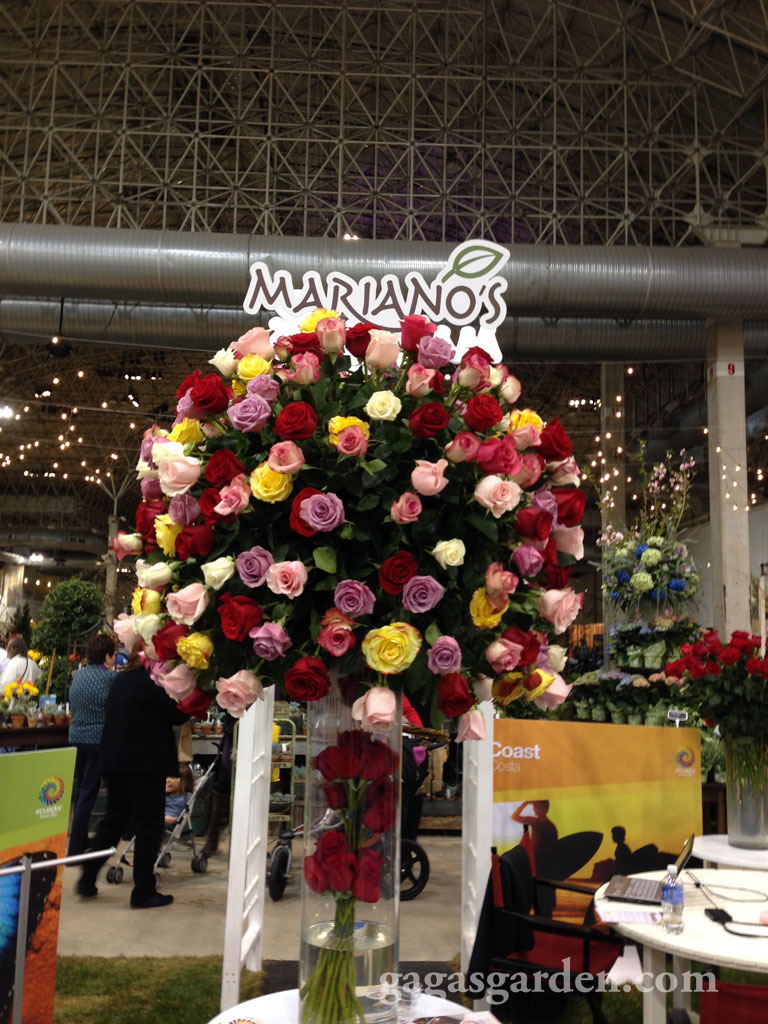 Mariano's Rose Display at The Chicago Flower and Garden Show
