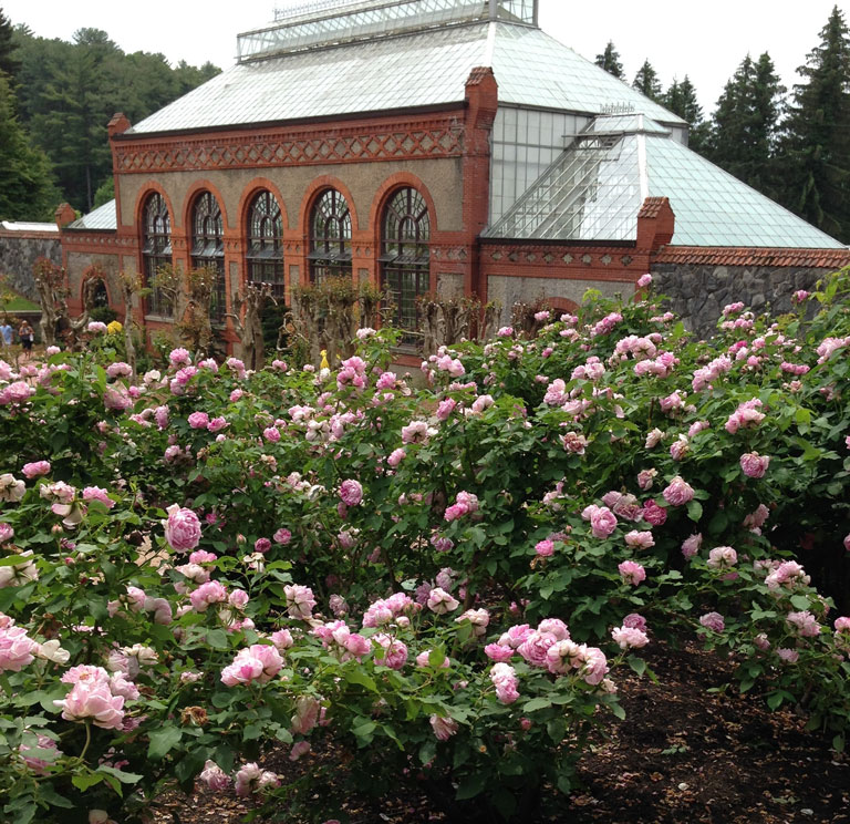 'Honorine' at The Biltmore Last Year