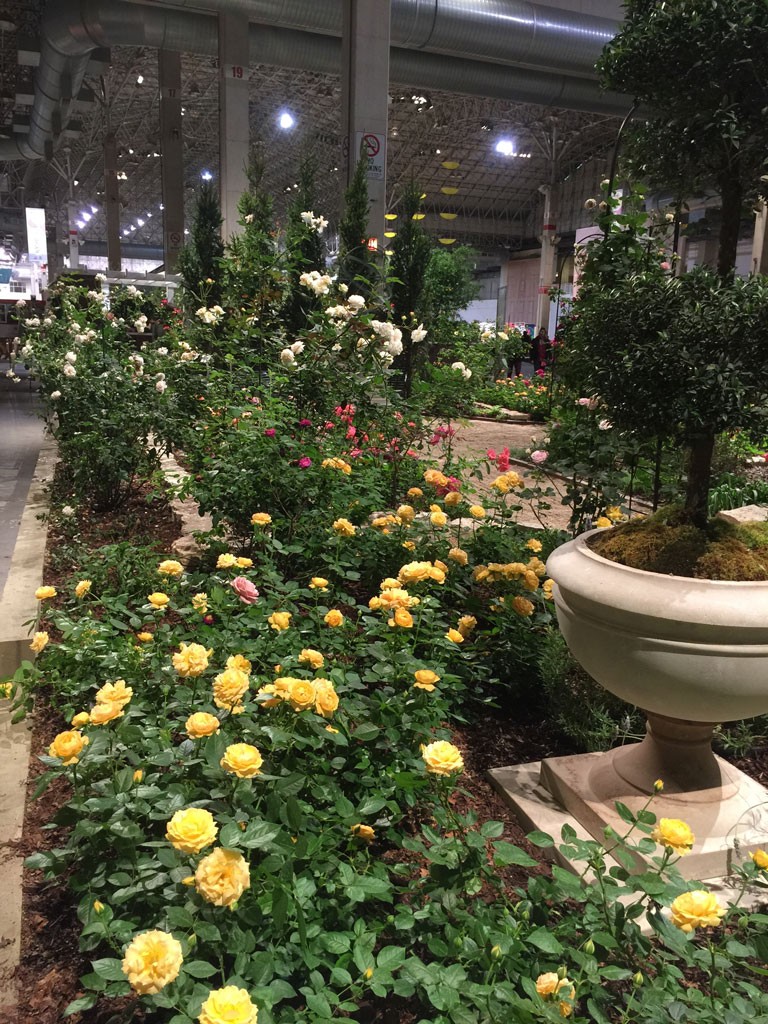 The 'Classic Rose Garden' at the Chicago Flower & Garden Show