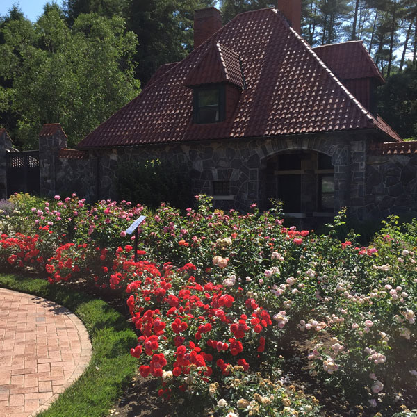 The Biltmore Rose Garden