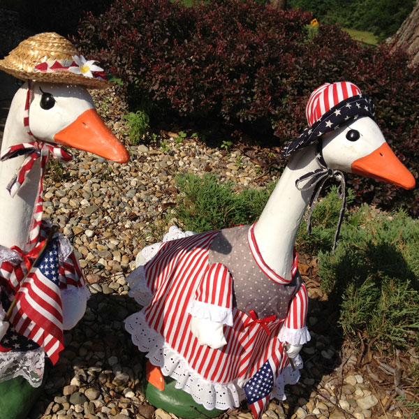 The Geese Girls in their Patriotic Regalia