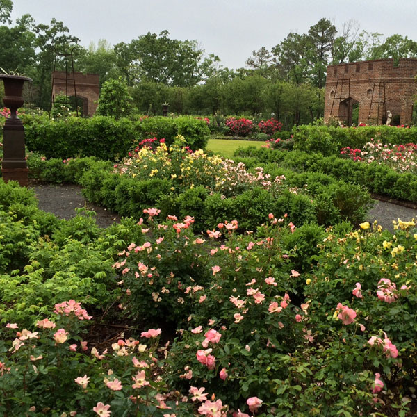 P. Allen Smith Rose Garden