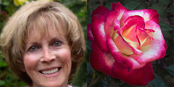 Sally Long | 2015 American Rose Society Convention Photography Panelist |Her Double Delight Preview