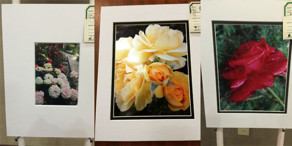 The American Rose Society Judges Class Winners | ARS National Convention, New York, 2015