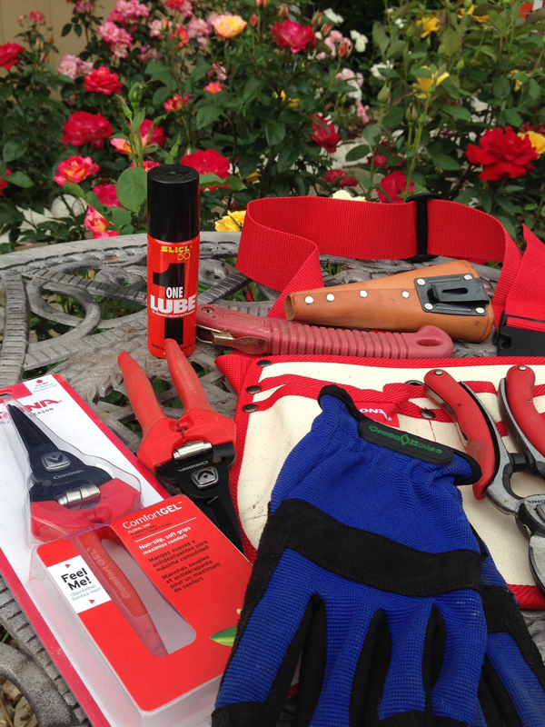 My Corona Gardening Tools | Gloves for Protection 