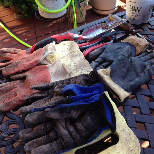 Gloves from Gaga's Garden and Corona Tools By-Pass Convertible Pruners