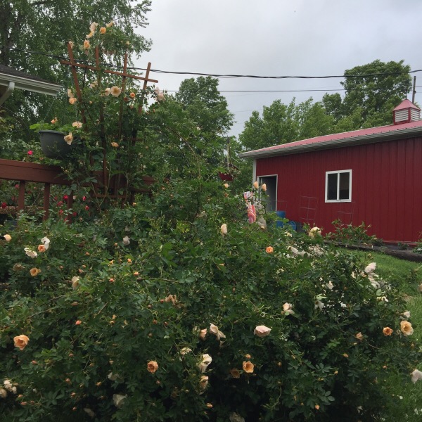 'Above and Beyond' As Big as a Barn