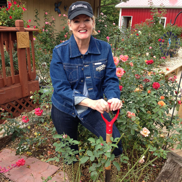 Susan Fox Digging In The Rose Garden
