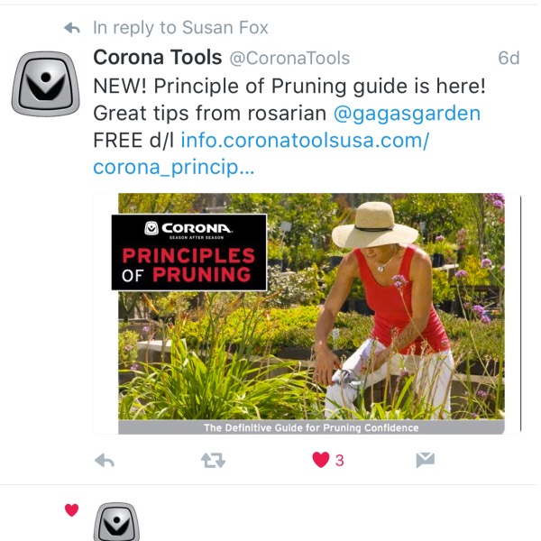 'Corona Tools' Principals of Pruning Guide