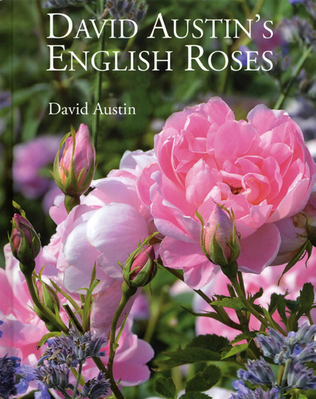 David Austin's 'ENGLISH ROSES'