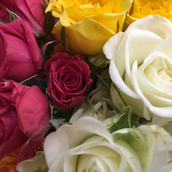 Rose Bouquets at Chicago Flower & Garden Show