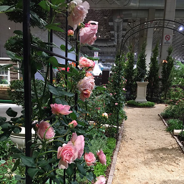 Chicago Flower & Garden Rose Garden Walkway