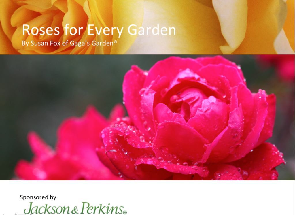 'Roses For Every Garden' This Year's Rose Presentation at Chicago Flower & Garden Show