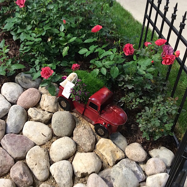 Miniature Roses Make Wonderful Display Gardens