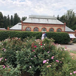 Witherspoon Rose sponsors of Biltmore Rose Trials in the Rose Garden